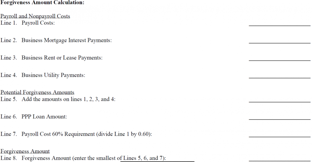 Forgiveness-Amount-Calculation.png